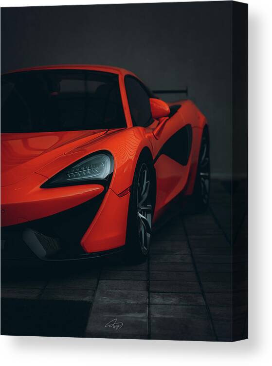  Canvas Print featuring the photograph Spyder by William Boggs