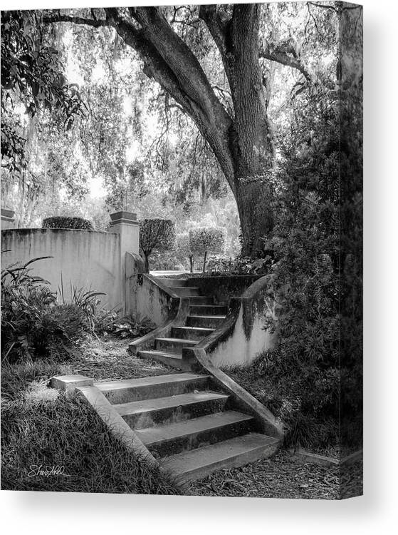Black And White Canvas Print featuring the photograph Stairway to Heaven by Shara Abel