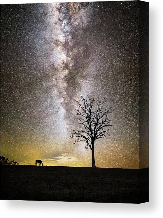 Milky Way Canvas Print featuring the photograph Stargrazing by Ari Rex
