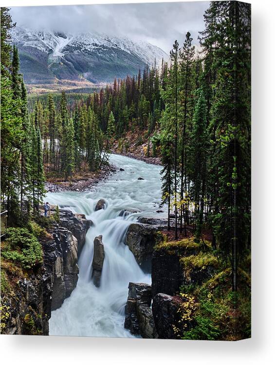 Voyage Jasper Banff 2021 Canvas Print featuring the photograph Sunwapta Falls Jasper by Carl Marceau