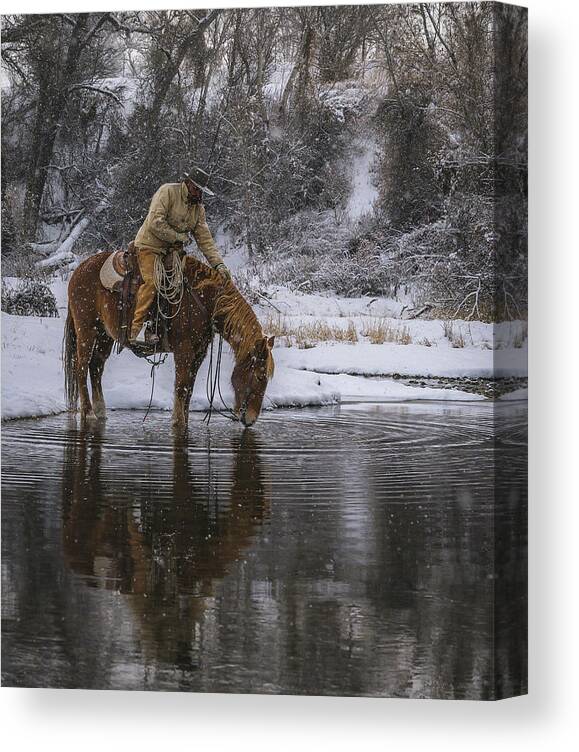 Horse Canvas Print featuring the photograph Tap the Water by Laura Hedien