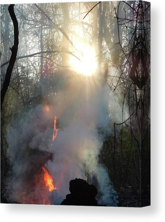 Fire Canvas Print featuring the photograph Texas forest fire by Phil And Karen Rispin