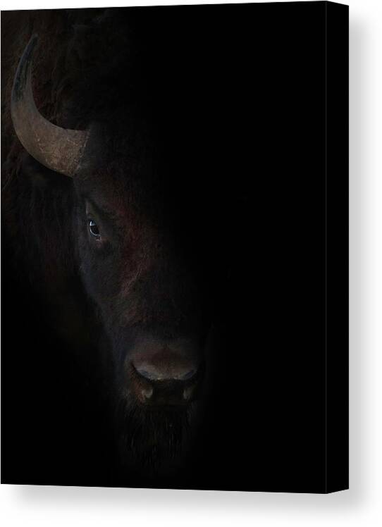 The Canvas Print featuring the photograph The Bullseye by Brian Gustafson