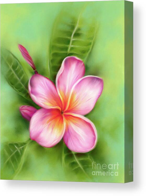 Botanical Canvas Print featuring the painting Tropical Plumeria Flower Pink and Orange by MM Anderson