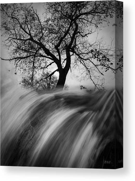 Abstract Canvas Print featuring the photograph Untitled XXV BW by David Gordon