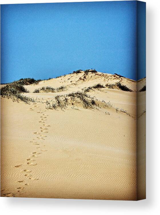 Dune Canvas Print featuring the photograph Up the Dune by Sarah Lilja