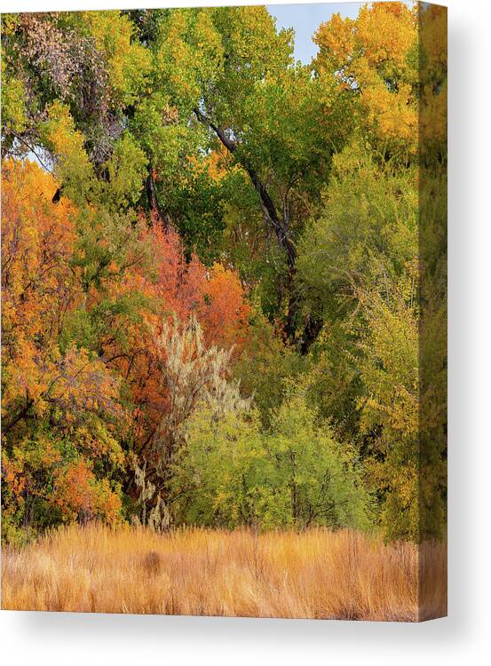 Tim Fitzharris Canvas Print featuring the photograph Verde River Valley near Camp Verde, Arizona, USA by Tim Fitzharris