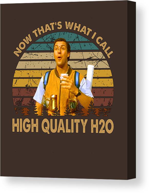 https://render.fineartamerica.com/images/rendered/default/canvas-print/6.5/8/mirror/break/images/artworkimages/medium/3/vintage-waterboy-movies-now-that-s-what-i-call-high-quality-h20-mildred-salazar-canvas-print.jpg