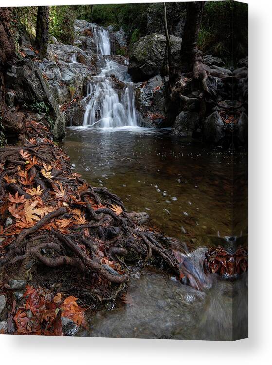 Waterfall Canvas Print featuring the photograph Waterfall in autumn. by Michalakis Ppalis