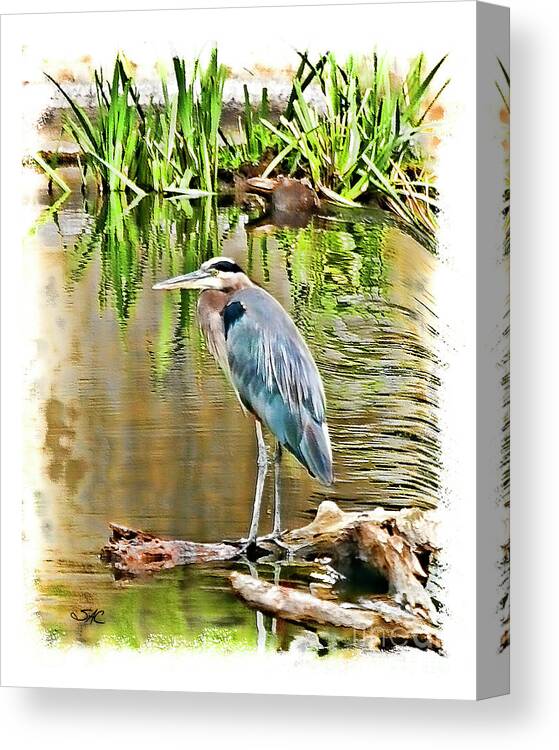 Heron Canvas Print featuring the digital art West Bend Heron by Stacey Carlson