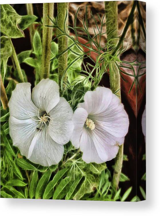 White Flower Canvas Print featuring the photograph White Flowers In A Garden by Cordia Murphy