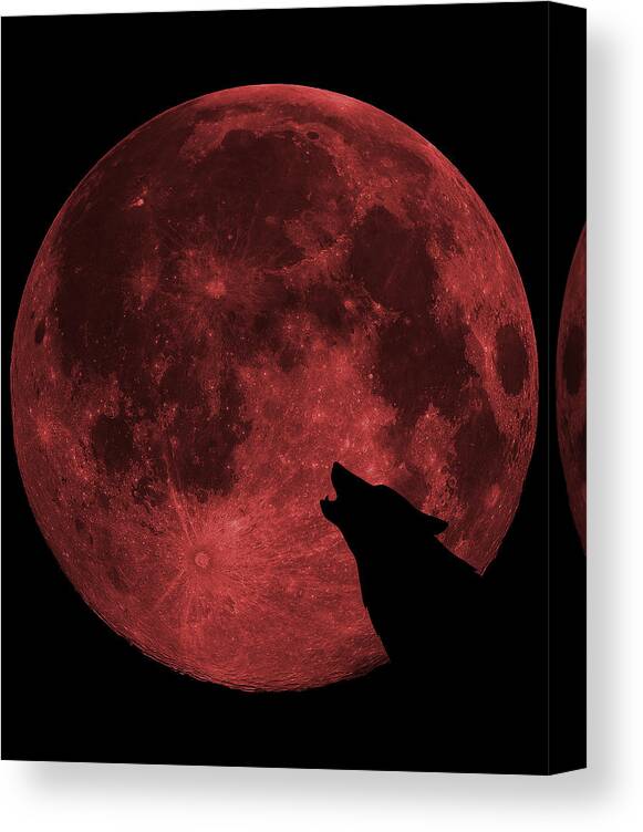 Cool Canvas Print featuring the digital art Wolf Howling Blood Moon by Flippin Sweet Gear