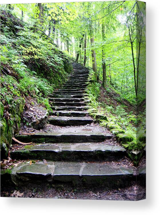 Woodland Canvas Print featuring the photograph Woodland Stairs by Flinn Hackett