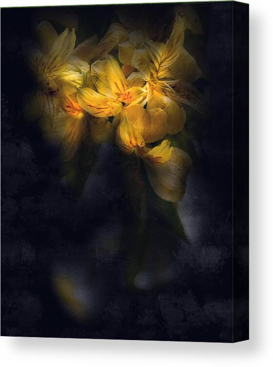 Yellow Flower Canvas Print featuring the digital art Yellow Flowers Painted On Black by Cordia Murphy