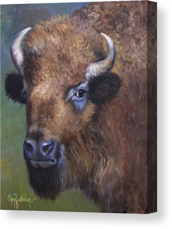 Bison Canvas Print featuring the painting Young Bison From Stratford Oklahoma an Original Artwork by Cheri Wollenberg by Cheri Wollenberg