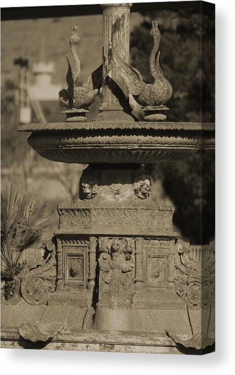 Aged Canvas Print featuring the photograph Aged And Worn Swan Statues On Rustic Cast Fountain by Colleen Cornelius