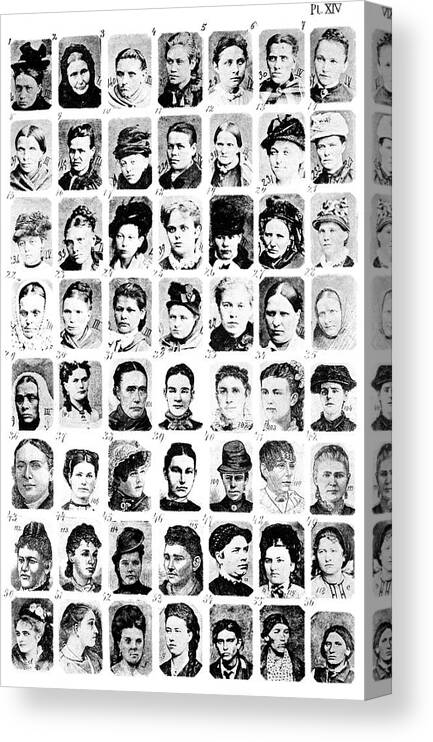 Theory Canvas Print featuring the photograph Theory Of Criminal Types #1 by Science Photo Library
