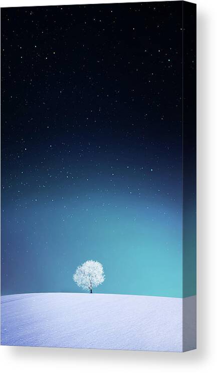 Winter Canvas Print featuring the photograph Apple #3 by Bess Hamiti