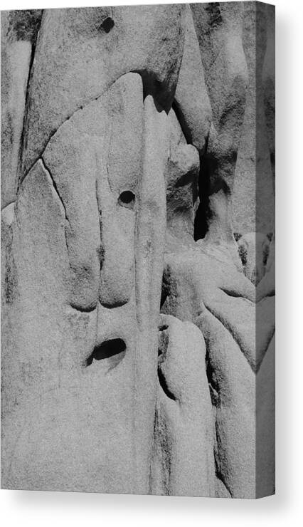 Kandinsky Canvas Print featuring the photograph Face in the Rock by Tranquil Light Photography
