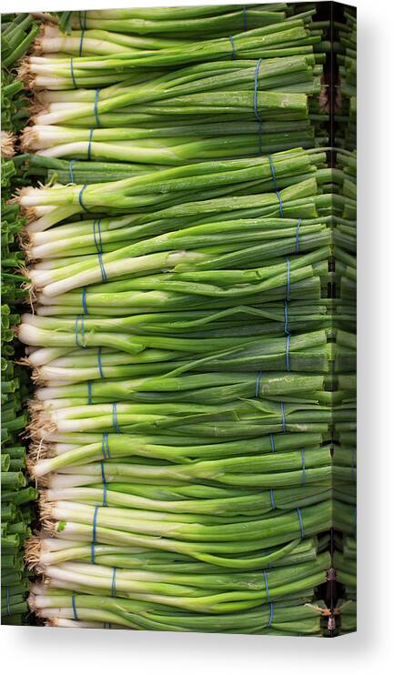 Large Group Of Objects Canvas Print featuring the photograph Green Onions by Tuan Tran