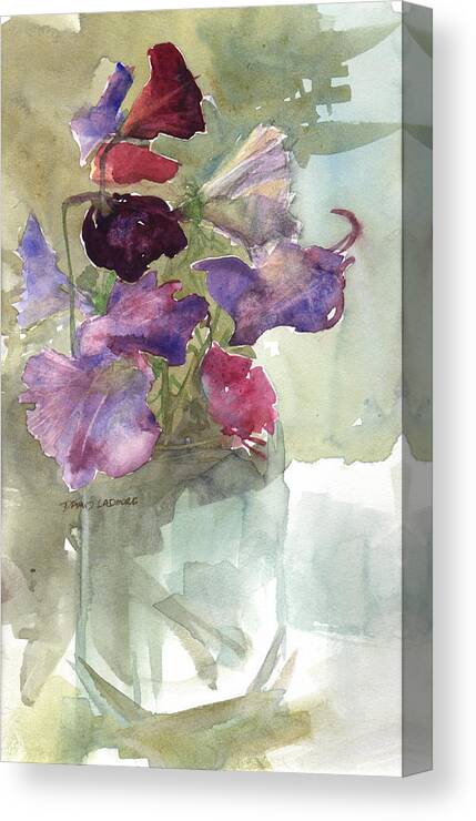 Sweetpeas Canvas Print featuring the painting Sweetpeas 3 by David Ladmore