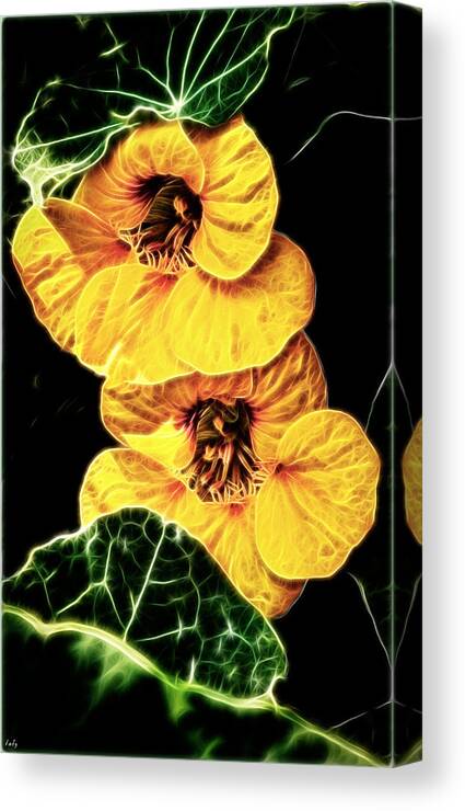Nasturtium Canvas Print featuring the photograph Two Shy Sisters fractal by Weston Westmoreland