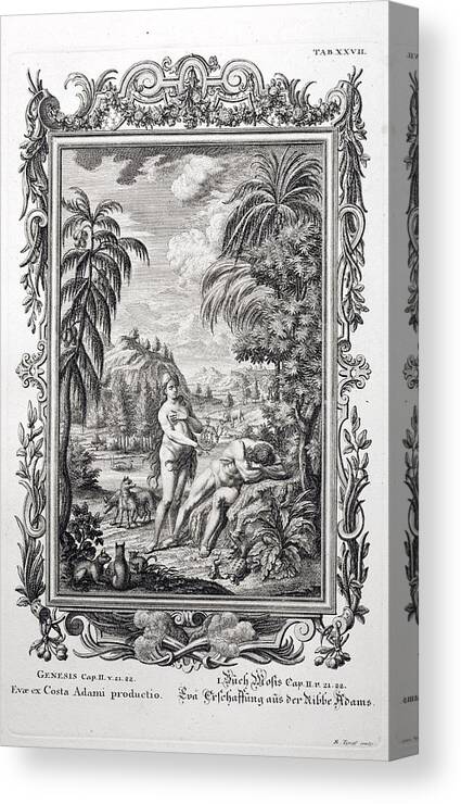 18th Century Canvas Print featuring the photograph 1731 Scheuchzer Creation Adam & Eve by Paul D Stewart