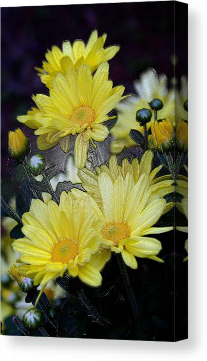 Yellow Canvas Print featuring the photograph Pretty in Yellow #2 by Karen Harrison Brown