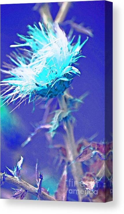 Weeds Canvas Print featuring the photograph Bright Accident by Julie Lueders 