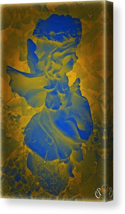 Spiritual Canvas Print featuring the photograph blue Flower Pixie by Christine Paris