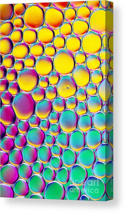 Water Canvas Print featuring the photograph Colour Full by Tim Gainey