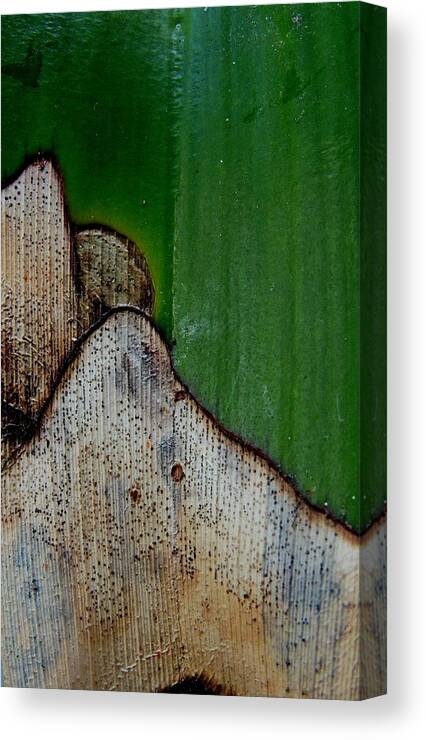 Nature Abstract Canvas Print featuring the photograph Damaged by Denise Clark