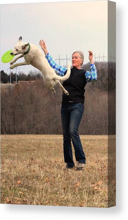  Disc Dog Canvas Print featuring the photograph Max Vault by Patricia Olson