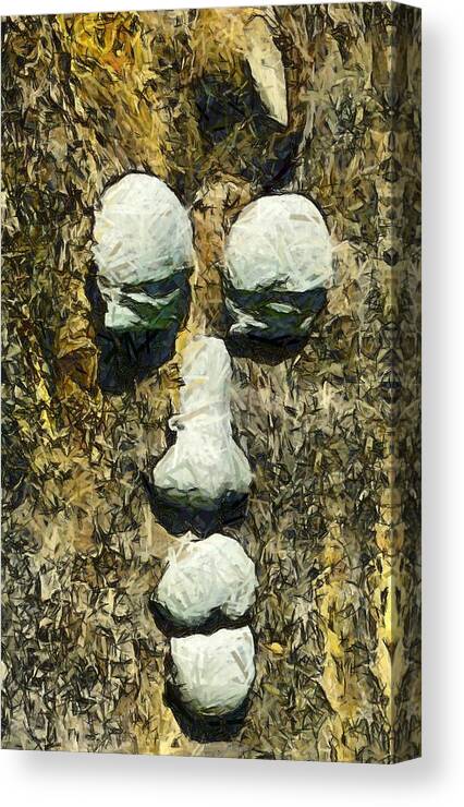 Tree Canvas Print featuring the photograph Old Man In The Tree by Floyd Snyder