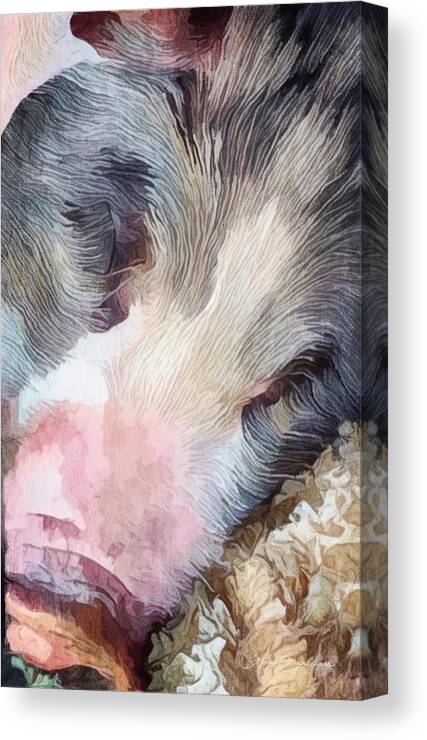 Pig Canvas Print featuring the digital art Pig by Looking Glass Images