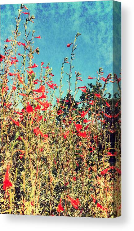 Flower Canvas Print featuring the photograph Red Trumpets Playing by Brad Hodges