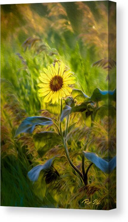 Flower Canvas Print featuring the photograph Stylized Sunflower by Rikk Flohr