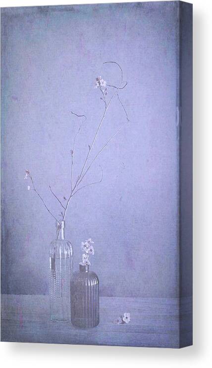 Redleaf Canvas Print featuring the photograph Cherry Blossom Branches by Fangping Zhou