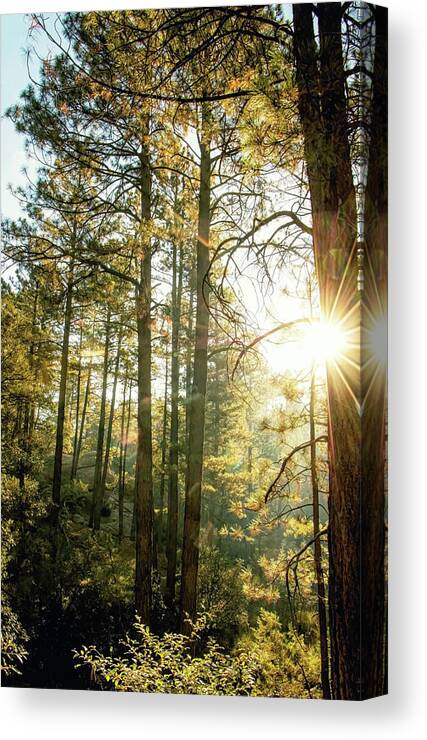 Mountains Canvas Print featuring the photograph Good Morning Sunshine by Elaine Malott