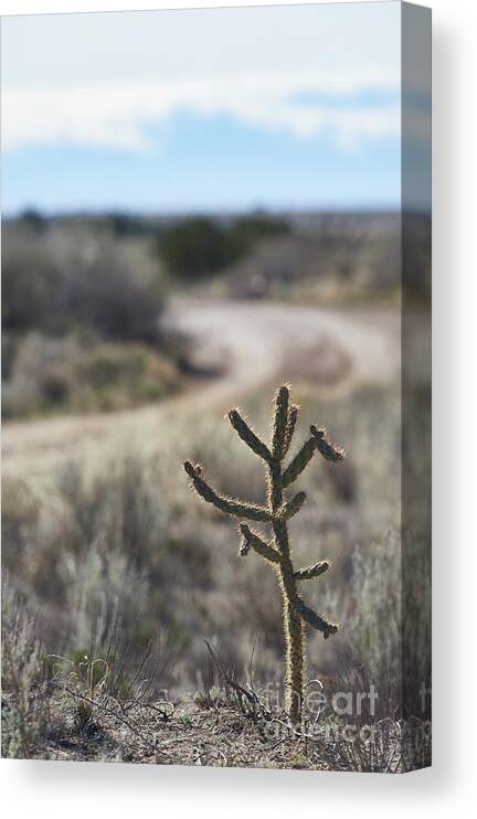 New Mexico Desert Canvas Print featuring the photograph Left at Albuquerque by Robert WK Clark