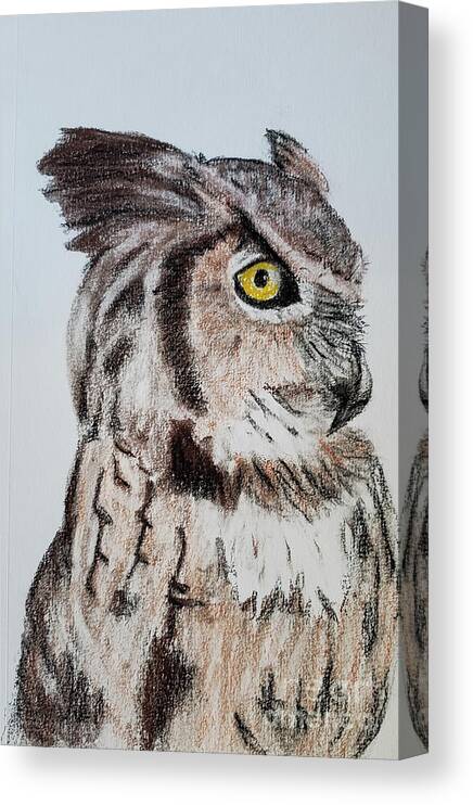 Birds Canvas Print featuring the drawing Eagle Owl #1 by Mary Capriole