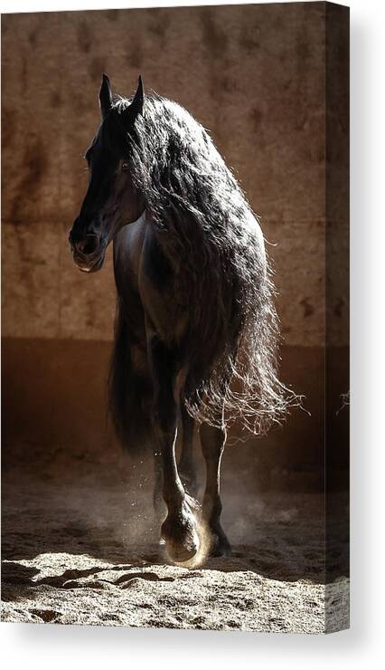 Horse Canvas Print featuring the photograph Equestrian Swag by Athena Mckinzie