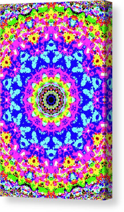 10th Dimension Canvas Print featuring the digital art P 4l 10d by Primary Design Co