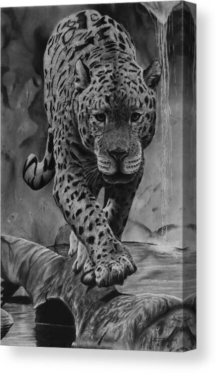 Jaguar Drawing Canvas Print featuring the drawing Panthera by Greg Fox