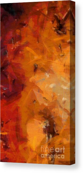 Abstract Canvas Print featuring the photograph Abstract 57 Detail 1 by Edward Fielding
