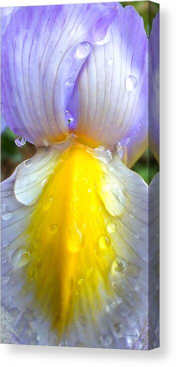 Duane Mccullough Canvas Print featuring the photograph Iris Flower Petal Upclose by Duane McCullough