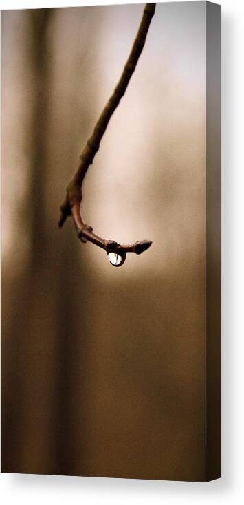 Last Drop Canvas Print featuring the photograph Last drop by Photographic Arts And Design Studio