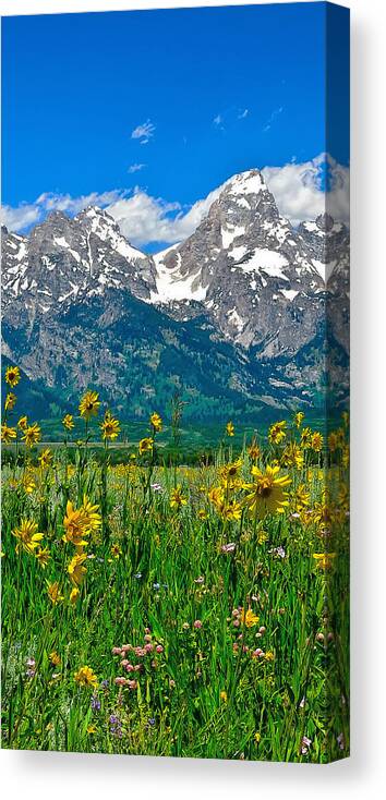 Tetons Peaks And Flowers Canvas Print featuring the photograph Tetons Peaks and Flowers Center Panel by Greg Norrell