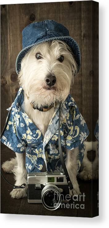 Dog Canvas Print featuring the photograph Vacation Dog Phone Case by Edward Fielding