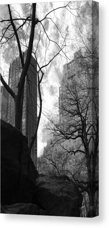 Central Park Canvas Print featuring the photograph Central Park One by Steve Sperry